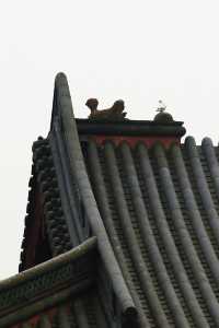 寧波尋春，免費又幽靜的天童寺簡直不要太美