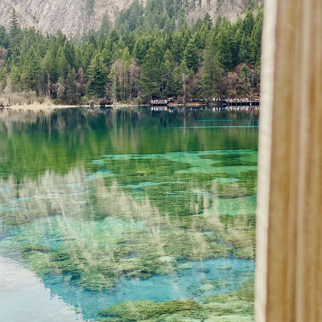 Enchanting Waters: The Magic of the Blue Lake in the Forest