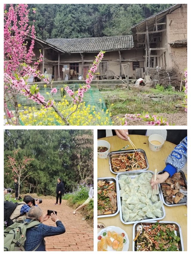 “桃之夭夭，灼灼其華”