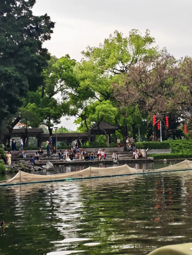 Liwan lake park blossoms 
