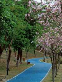 珠海香山湖公園：城市中的詩意棲居