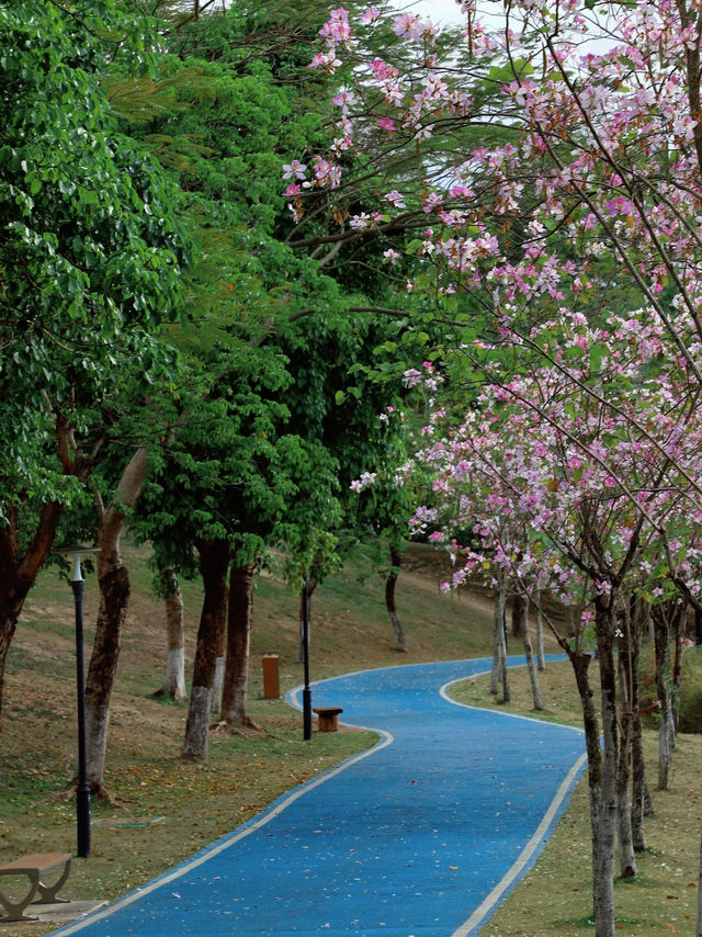 珠海香山湖公園：城市中的詩意棲居