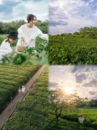 佛山美的鷺湖五一狂歡攻略｜解鎖35℃高溫的正確姿勢