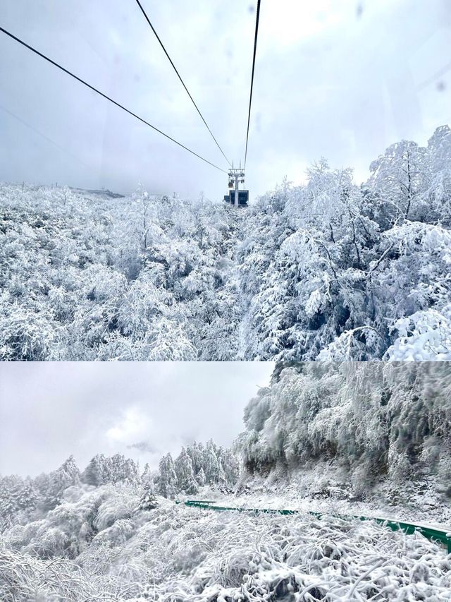 冰雪奇境·人間仙境·美到窒息——王崗坪