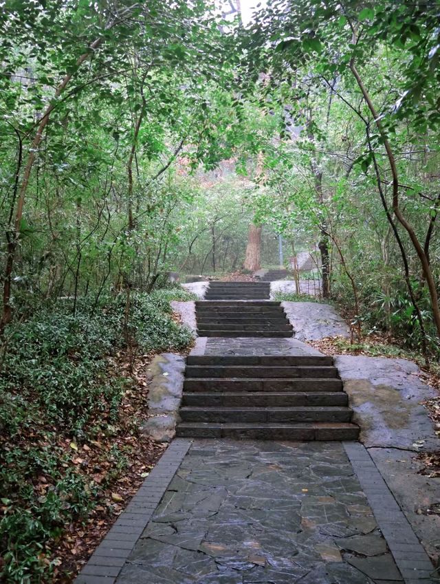 蕪湖嗚呼……快去這座魔幻的三線城市