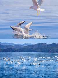 瀘沽湖「水性楊花」真相！當地人都唔敢講嘅秘密！
