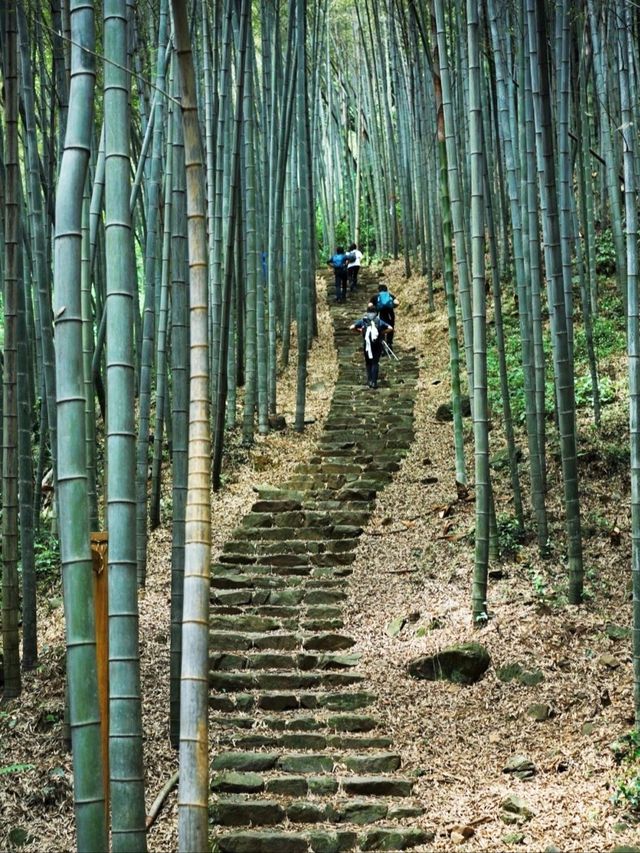 在杭州隱藏着一條被時光雕琢的秘徑：豆腐皮古道。