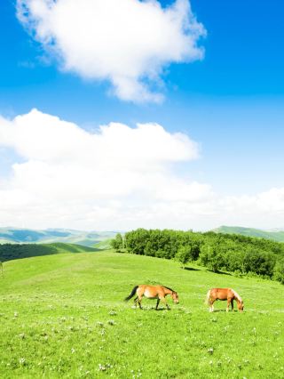 Ladies, just a 3-hour drive from Beijing lies your very own Altay!