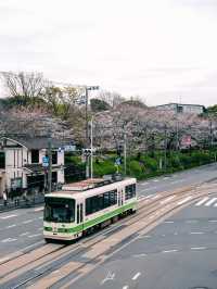 東京 | 搭乘昭和風情的櫻花電車🌸