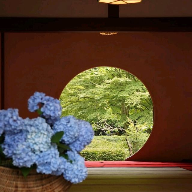 🌺鎌倉繡球花祭！明月院×長谷寺絕美賞花攻略+隱世民宿推介✨
