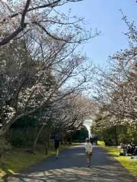 東京葛西臨海公園交通攻略：邂逅灰藍調的愜意時光