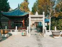 A Spiritual Journey in Xining: Exploring the City’s Most Iconic Mosques