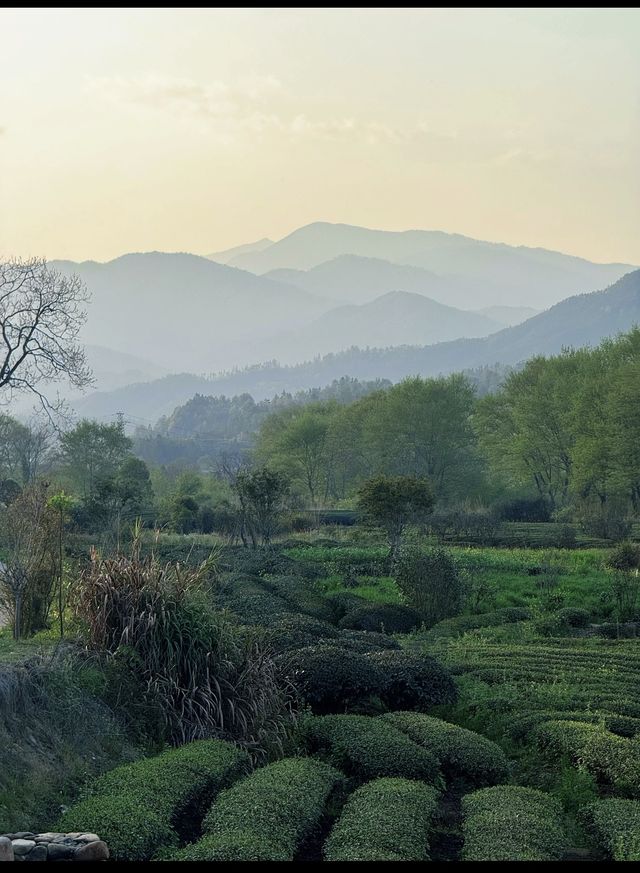 呢座隱世小城，放空行山好去處