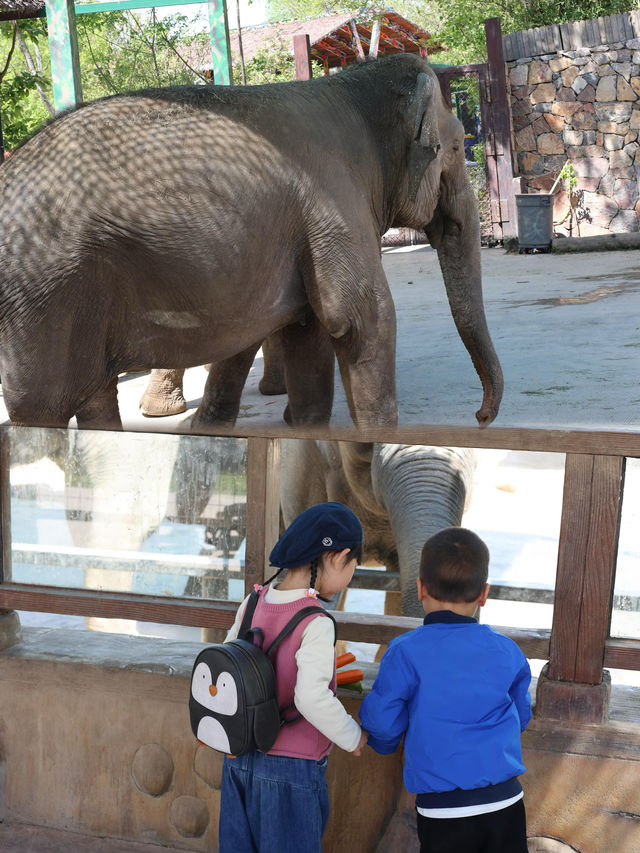 懶人式湊仔好去處——紫清湖旅遊區 懶人式湊仔好去處——紫清湖旅遊區