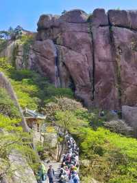 Majestic Huangshan on May Holiday 2025