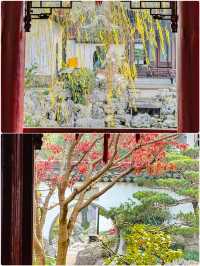 跟著萌娃遊黃埔：解鎖親子玩樂新姿勢