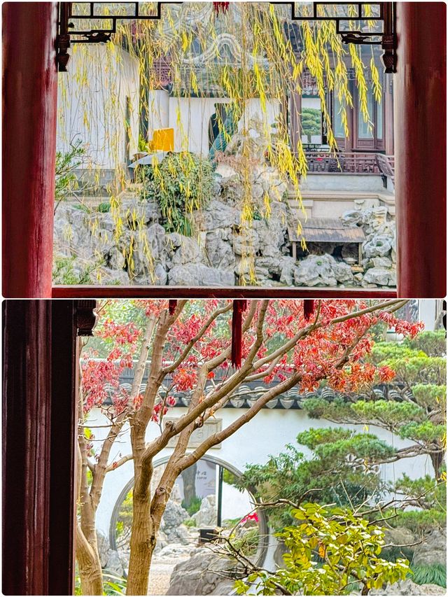 跟著萌娃遊黃埔：解鎖親子玩樂新姿勢