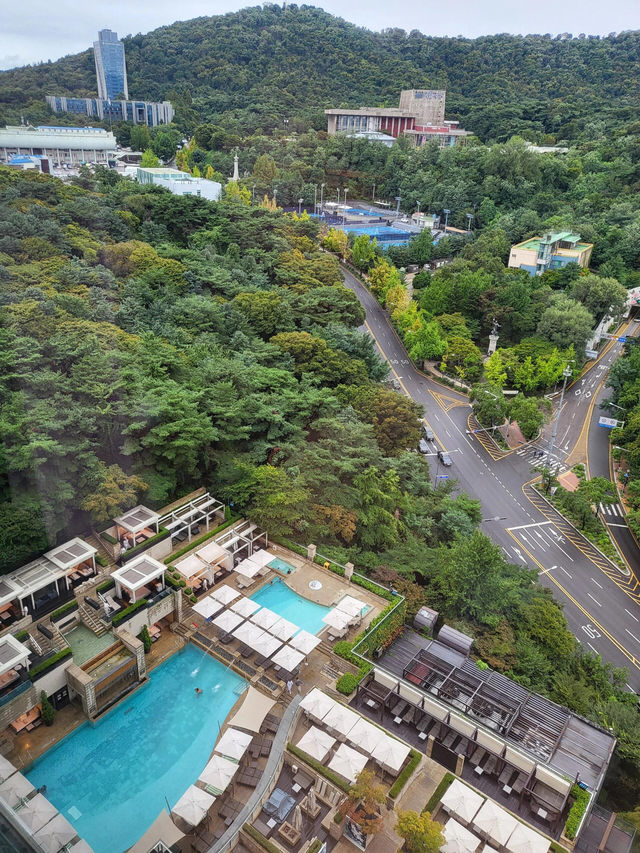 首爾｜入住「高級酒店黃埔軍校」✨ 新羅酒店體驗