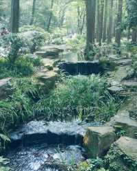 杭州·虎跑公園 西湖邊嘅綠野仙蹤吸氧秘境