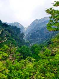 ###  泰山旅遊攻略：登頂五嶽獨尊，暢享雲海日出