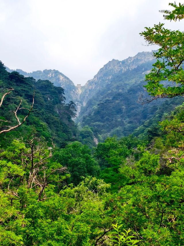 ###  泰山旅遊攻略：登頂五嶽獨尊，暢享雲海日出
