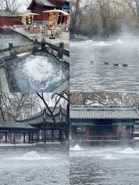 • 《濟南嘅大爺大媽有幾硬核？護城河冬泳、泉水邊打啤牌，真識玩