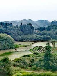鄉土中國——高鐵沿途嘅風景（東南）