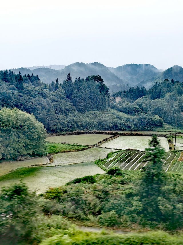 鄉土中國——高鐵沿途嘅風景（東南）