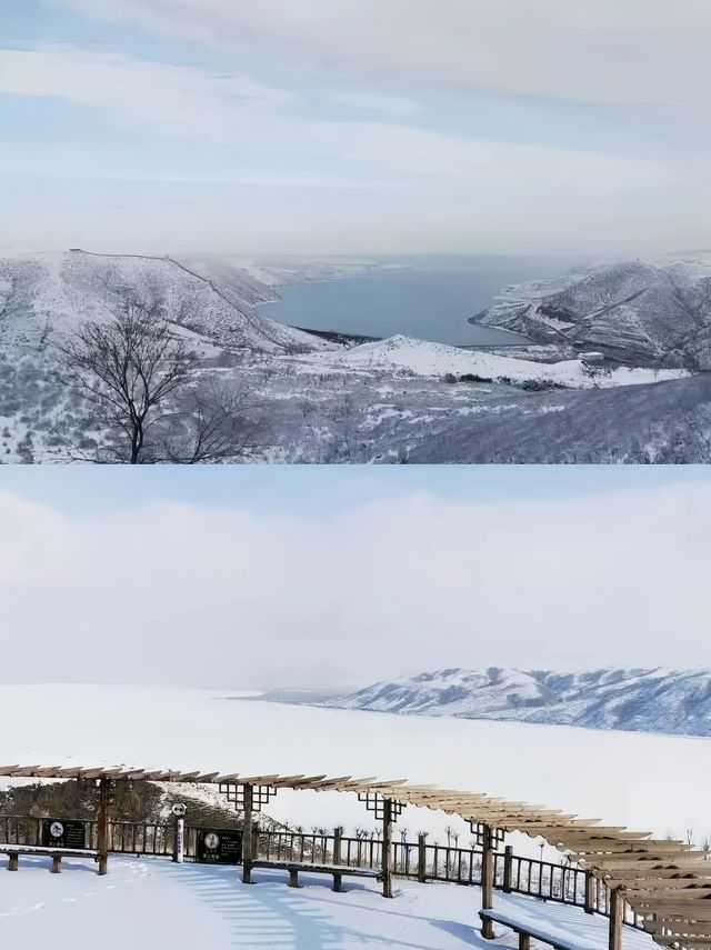 冬天必走自駕線路 錫盟冰雪大穿越4日遊！