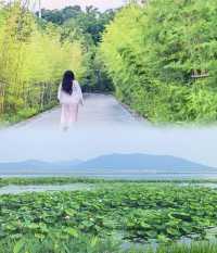 逃離高溫！墜入蘇州太湖畔夢幻避暑莊園