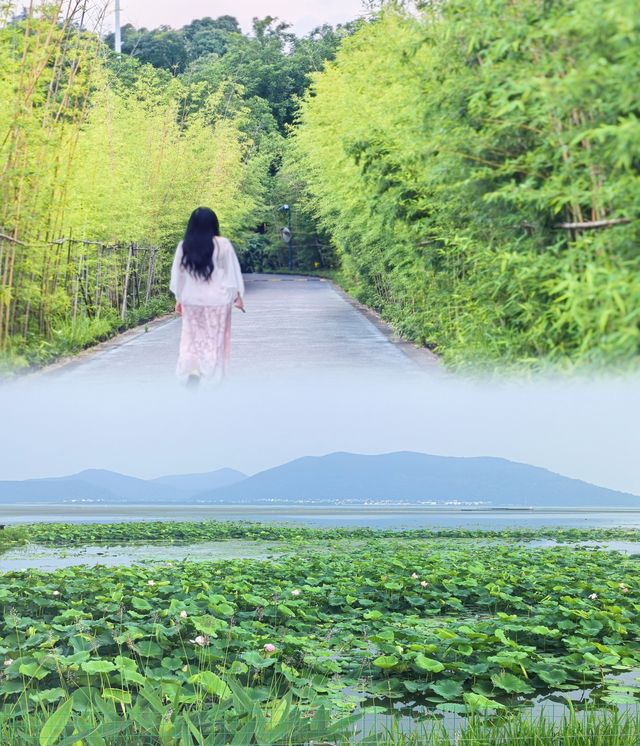 逃離高溫！墜入蘇州太湖畔夢幻避暑莊園