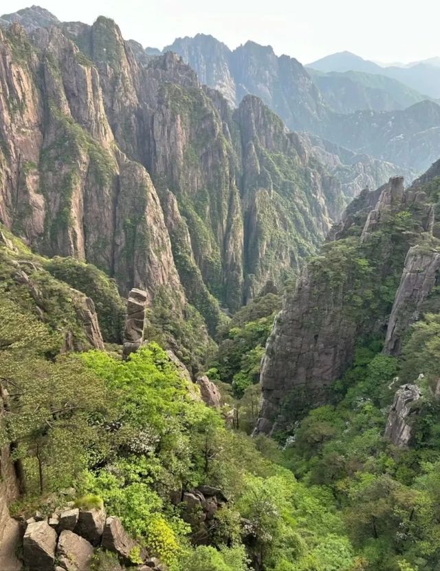 黃山風景區勸退警告：帶老人小孩尤其要注意這3個細節！