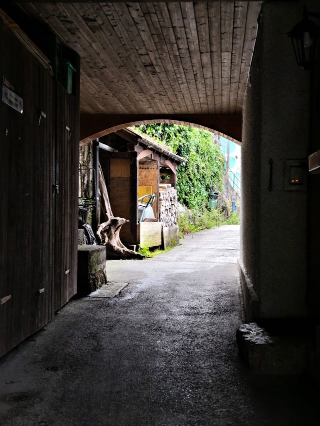 熊跡-哈爾施塔特-世界文化遺產小鎮
