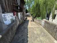 東雙橋與望春橋