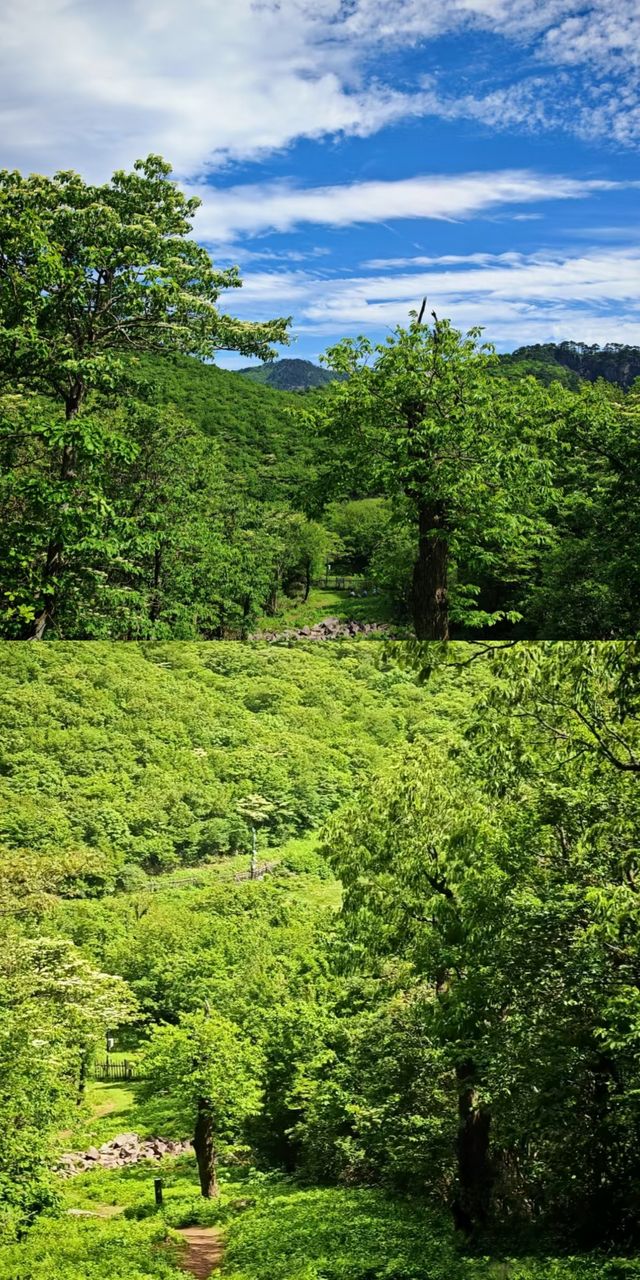 臨安千畝田，美到窒息的徒步寶藏地！