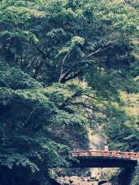 **【穿越千年古都！大阪瀧安寺靜心體驗全記錄】**  