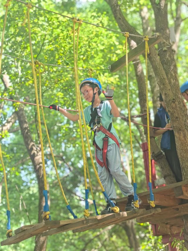 常州茅山森林世界親子遊全攻略 | 餵天鵝、勇闖魔法森林、邂逅植物