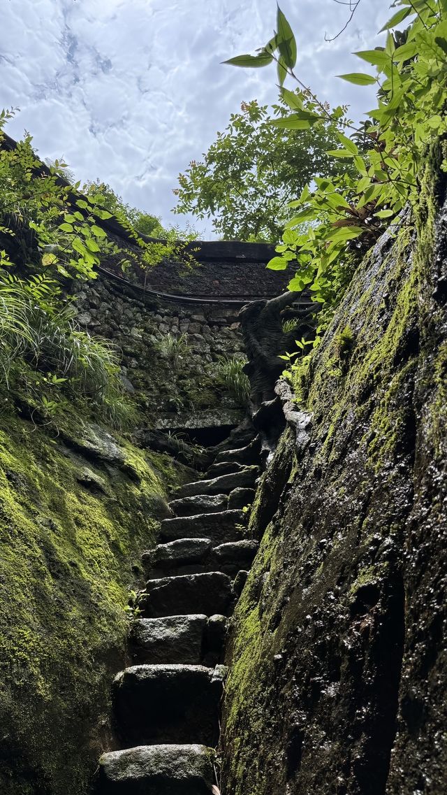 武夷山5天4夜深度遊｜食住玩全攻略避坑指南