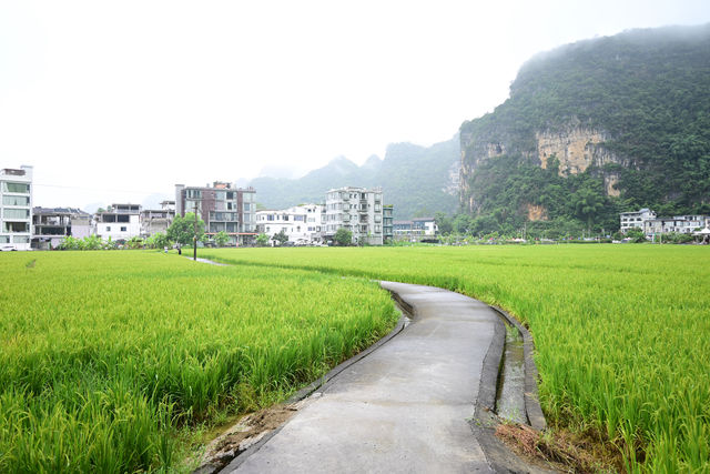 雲霧山中起，仙境數十里！