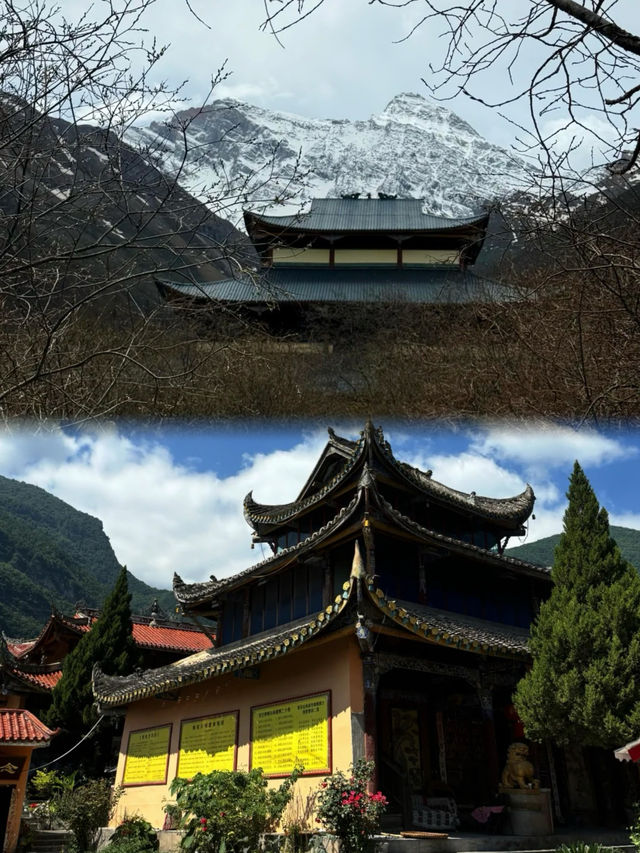 九寨溝帶娃/老人輕鬆玩！路線優化+高山症預防，家庭遊必備指南！