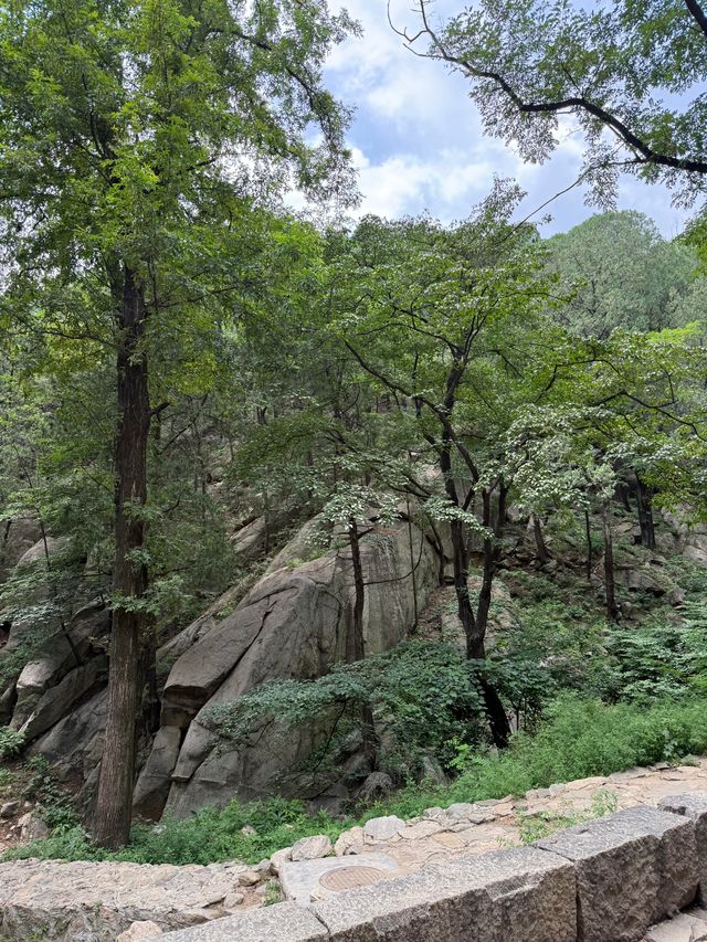 泰山｜6小時搞掂上山落山！呢條路線親測爽到爆～
