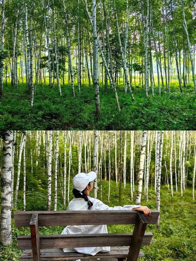 綠野仙境·22℃親子避暑 | 長白山6天5晚清涼奇遇