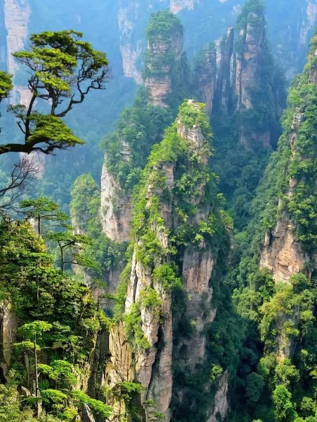 𝐙𝐡𝐚𝐧𝐠 𝐣𝐢𝐚 𝐣𝐢𝐞  張家界見山川