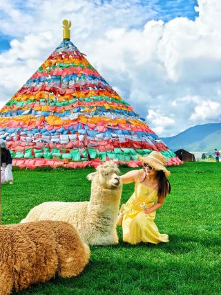 Live in a Snow Mountain Fairy Tale! Shangri-La Ten-Mile Snow Mountain Hotel Guide