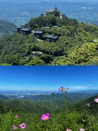 莫干山隱藏玩法大公開！避開人潮獨享整片竹海嘅神仙攻略