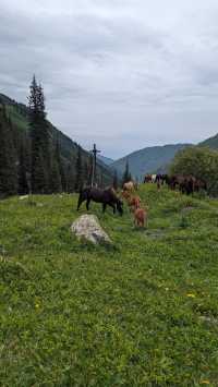 A Must-See Hike in Kazakhstan