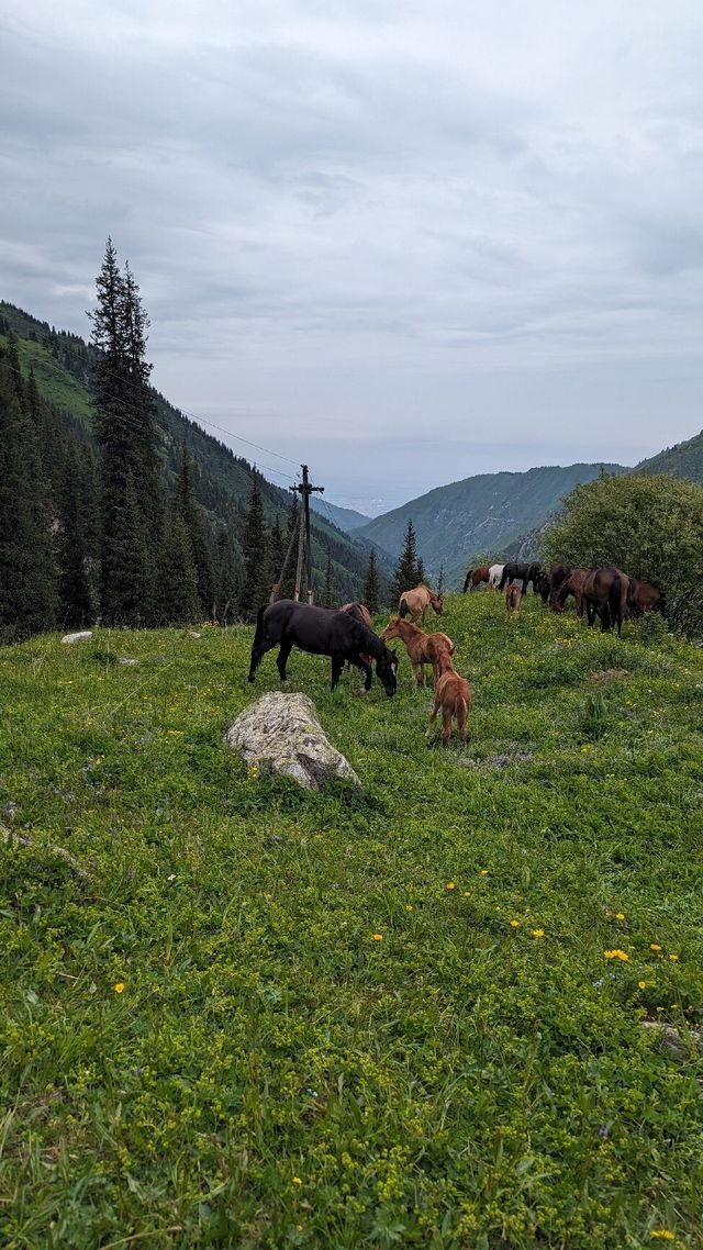 A Must-See Hike in Kazakhstan