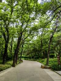 山海交錯的綠蔭時光——聯峰山公園
