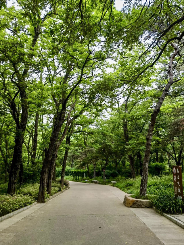 山海交錯的綠蔭時光——聯峰山公園