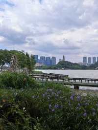 週末輕鬆徒步|順峰山公園9公里環湖路